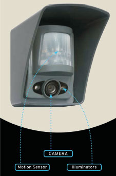 Police Surveillance System Motionviewer